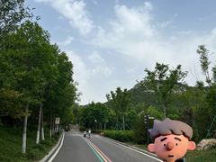 -佛慧山
