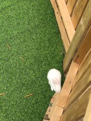 -萌宠亲子动物乐园(槐房万达店)