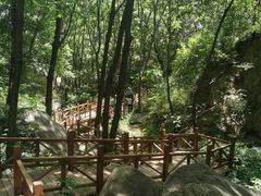 -大岭沟猕猴桃谷风景区