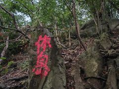 -紫金山山顶公园