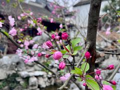 -中国昆曲博物馆