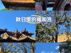 -雍和宫