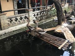 景观位-优之名鹅城