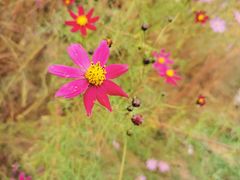 -济南国际园博园