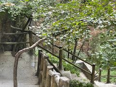 -蝶舞清江·恩施云顶景区(黄鹤峰林)