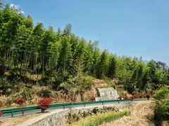 -灵山景区梯田