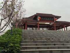 -大湾区中央湿地公园