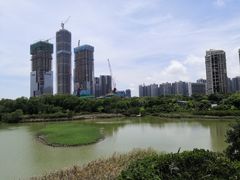 -华侨城湿地公园