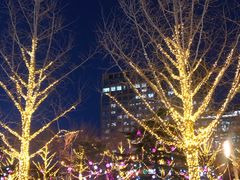 -星巴克(北京市民生金融中心店)