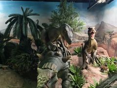 -国家自然博物馆