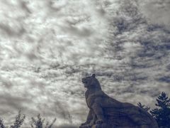 -帽儿山国家森林公园