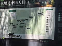 -天目山大树王景区