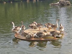 -南京银杏湖乐园