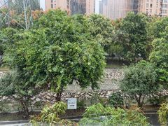 -墨宴(西洋湖店)