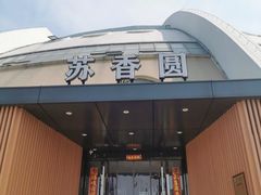 -丁老爷子苏香圆