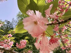 -莲花池公园