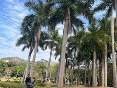 -厦门大学(思明校区)