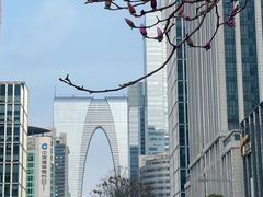-中央公园(苏州工业园区)