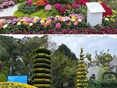 -南山植物园