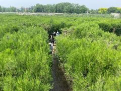 -亲兄弟真人CS团建拓展基地