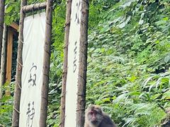 -西岭雪山大飞水景区