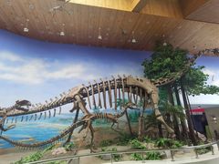 -延庆地质公园博物馆