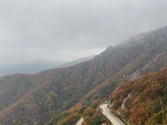 -白草畔自然风景区