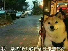 -5号公路餐厅(曼哈顿店)