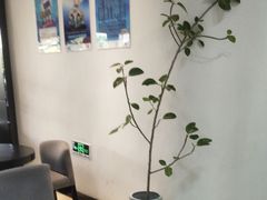 -牙博士口腔品牌连锁(昆山城区店)