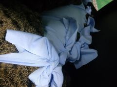 -半岛宠物医院24小时(科华中路店)