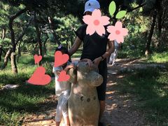 -贮水山儿童公园