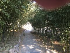 -皇家御河游(紫御湾码头)