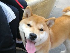 -THEME祖提(三峡广场店)