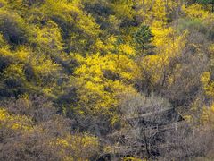 -九如山休闲旅游度假区