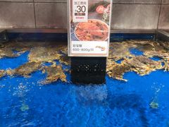 水产区-盒马鲜生(昆城店)