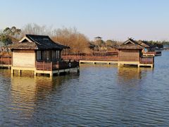 -杭州湾海上花田景区