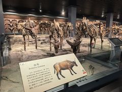 -大庆市博物馆