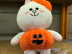 -line friends(明洞旗舰店)