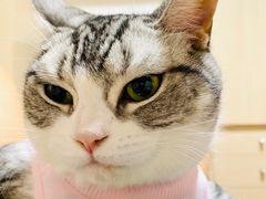 -北京恒爱动物医院(清景园分院)