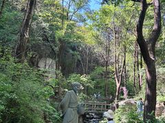 -王顺山国家森林公园
