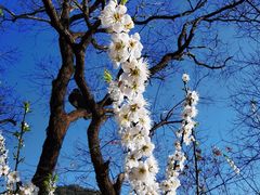 -广州市流溪河国家森林公园