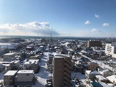 -币舞桥