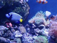 -成都浩海立方海洋公园