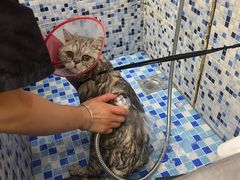 -FAELING PETS美天灵宠物(富力广场店)