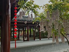 -上海滨江森林公园