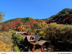 -九如山休闲旅游度假区