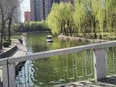 -团结湖公园