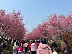 -凤凰沟景区