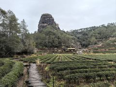 -武夷山风景名胜区-玉女峰