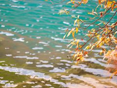 -叠溪松坪沟景区